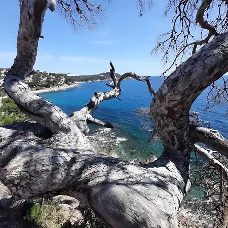 Cote D'azur - Cap Soleil Apartment *